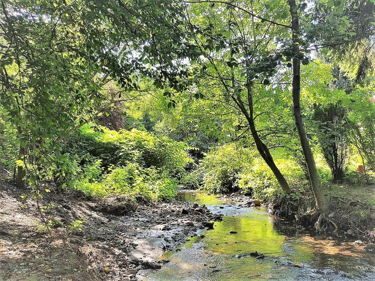 Parád Muskatli Vendeghaz 호스텔 외부 사진